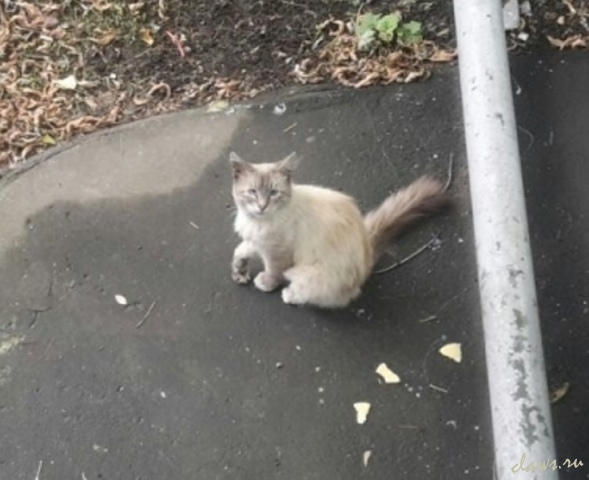 Фото не найдено