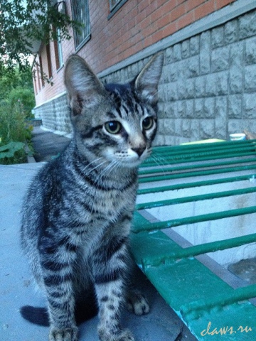 Фото не найдено