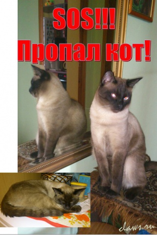 Фото не найдено