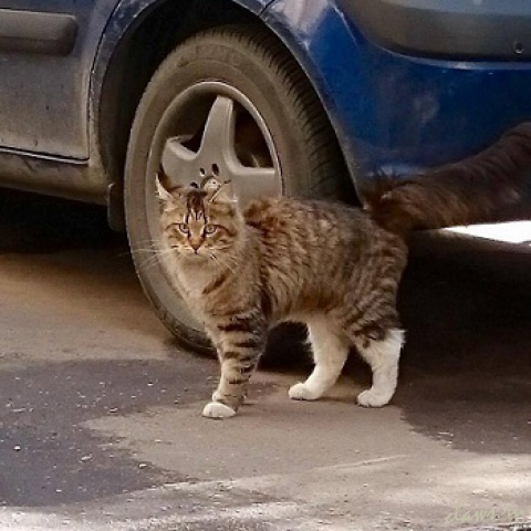 Фото не найдено