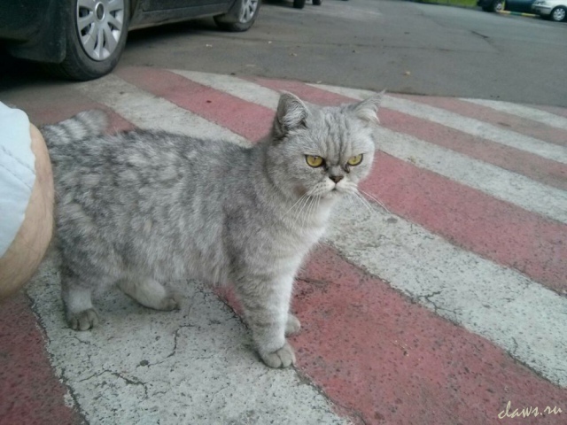 Фото не найдено