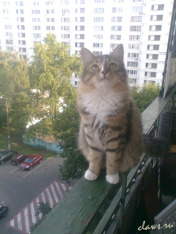 Фото не найдено