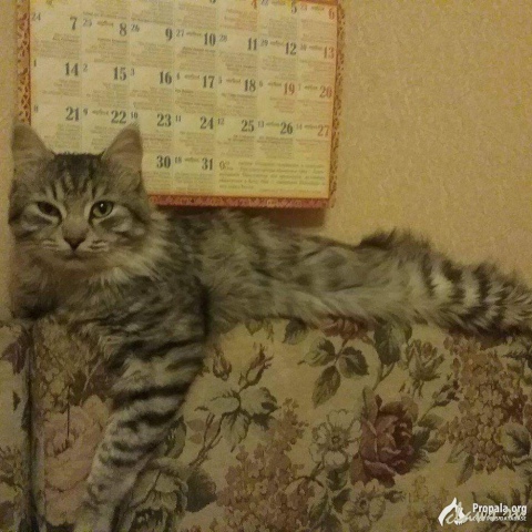 Фото не найдено