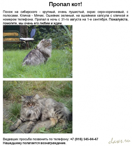 Фото не найдено