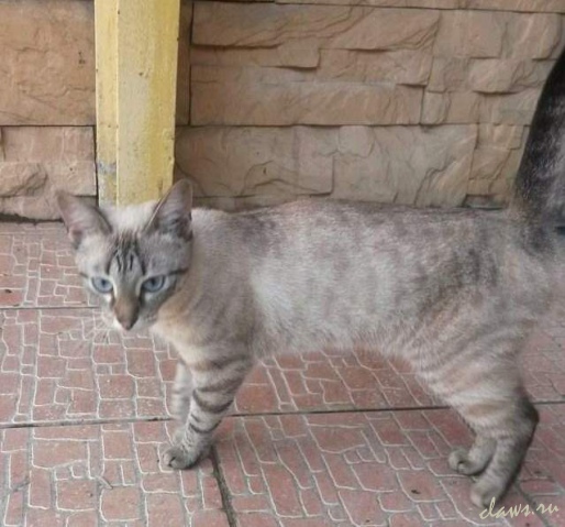 Фото не найдено