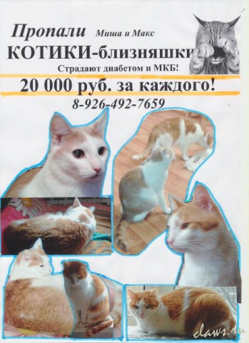 Фото не найдено