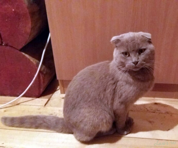 Фото не найдено