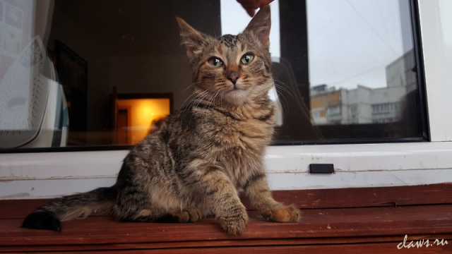 Фото не найдено