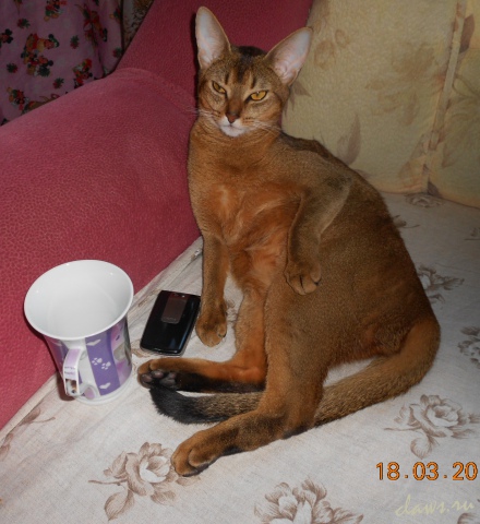 Фото не найдено