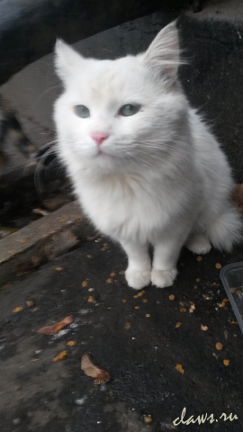 Фото не найдено