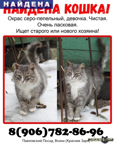 Фото не найдено
