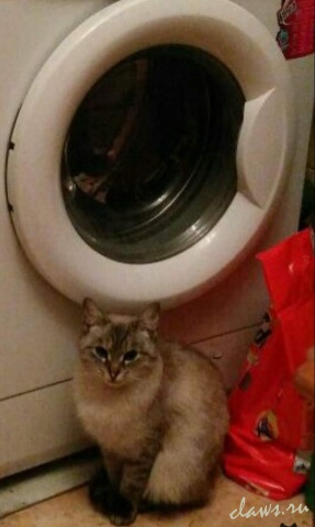 Фото не найдено