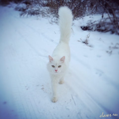 Фото не найдено