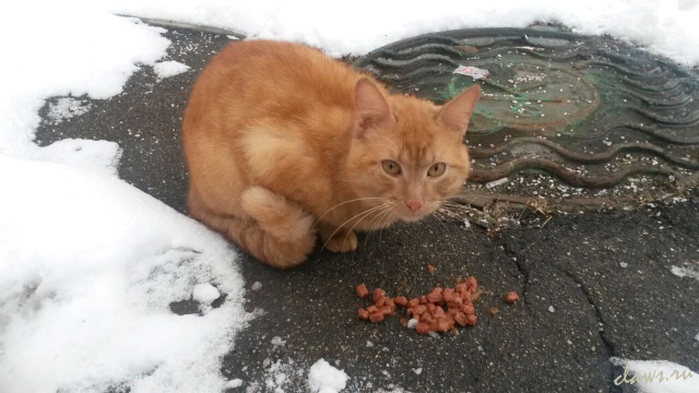 Фото не найдено