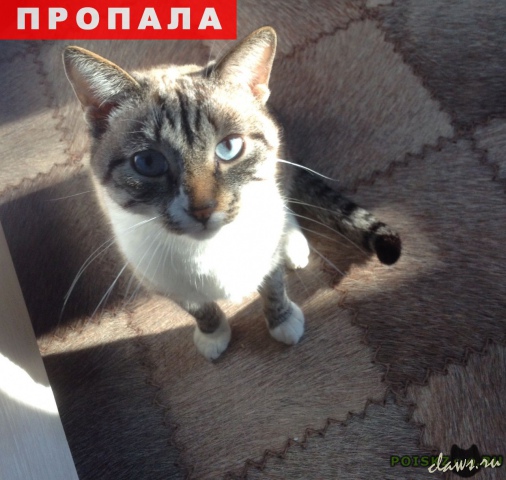 Фото не найдено