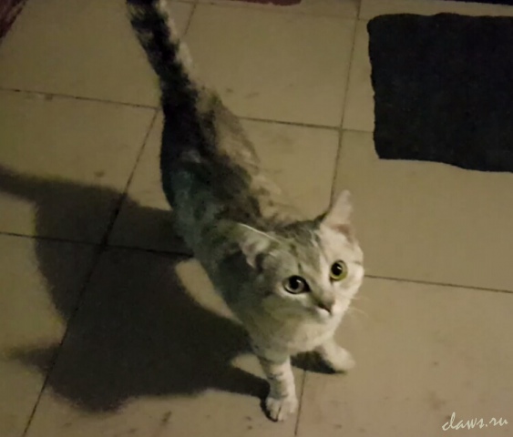 Фото не найдено