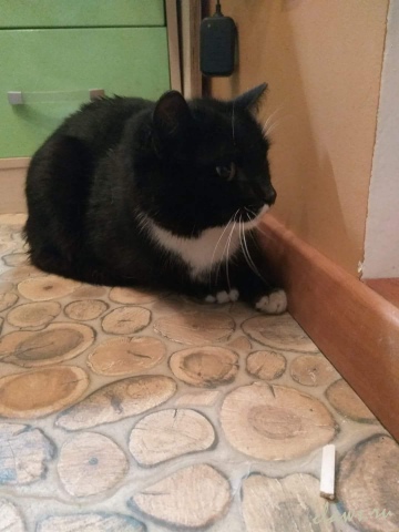 Фото не найдено