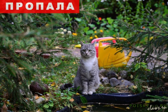 Фото не найдено