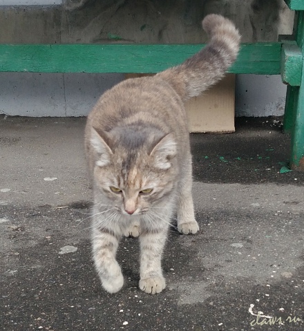 Фото не найдено