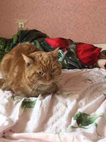 Фото не найдено