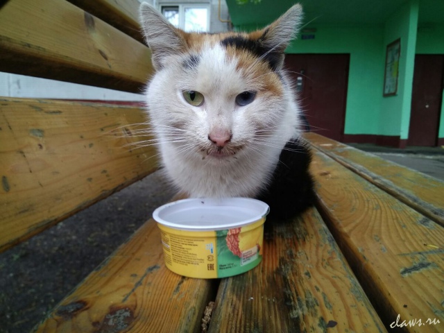 Фото не найдено
