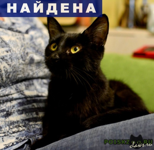 Фото не найдено