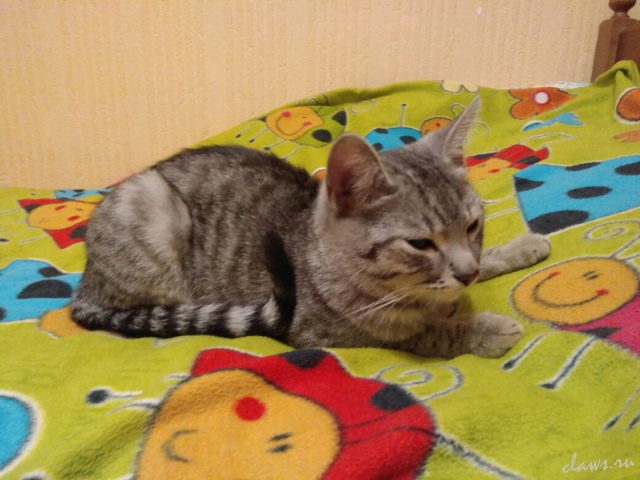 Фото не найдено