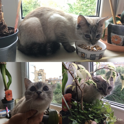 Фото не найдено