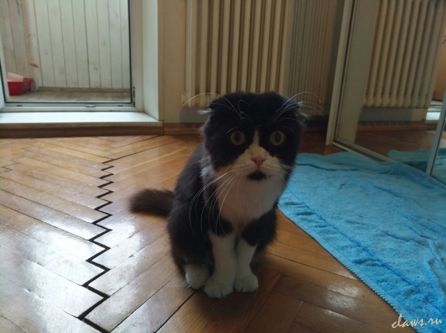 Фото не найдено