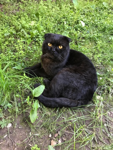 Фото не найдено