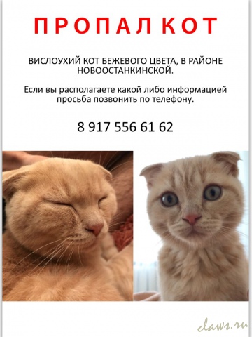 Фото не найдено