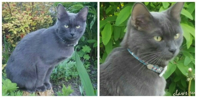 Фото не найдено