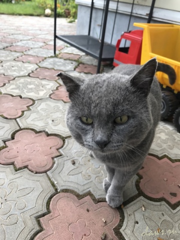Фото не найдено