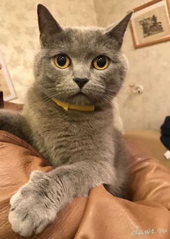 Фото не найдено
