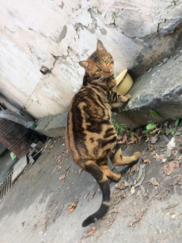 Фото не найдено