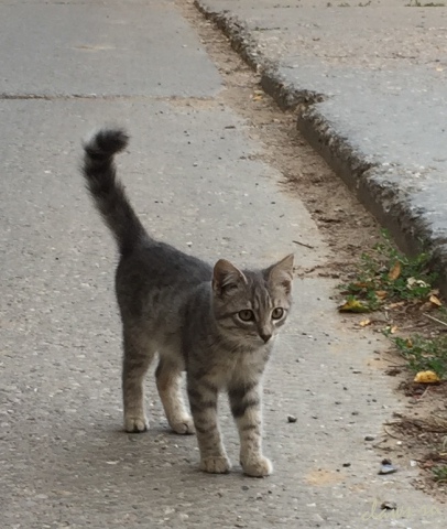 Фото не найдено