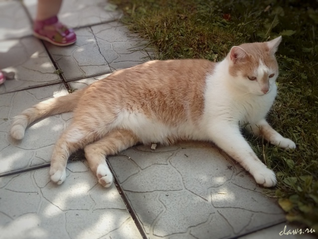 Фото не найдено