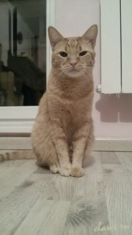 Фото не найдено