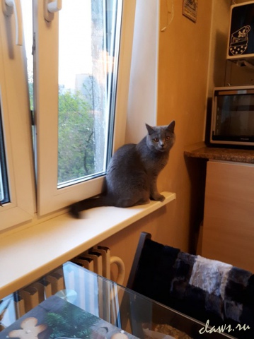 Фото не найдено