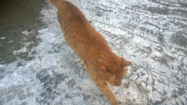 Фото не найдено