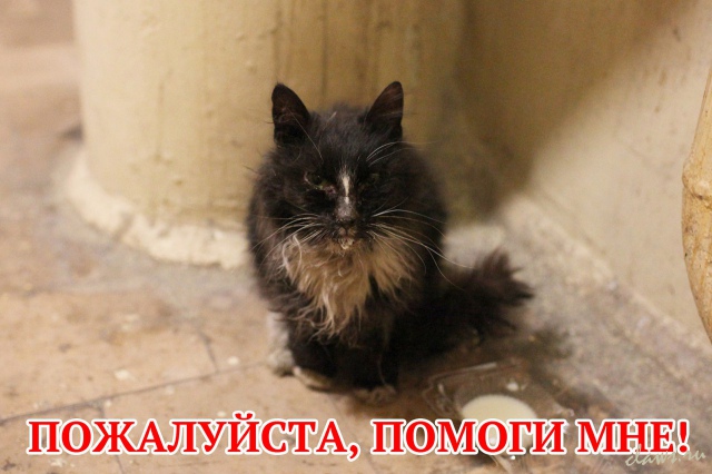 Фото не найдено