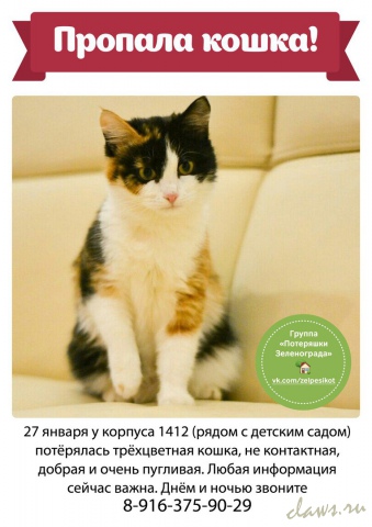 Фото не найдено