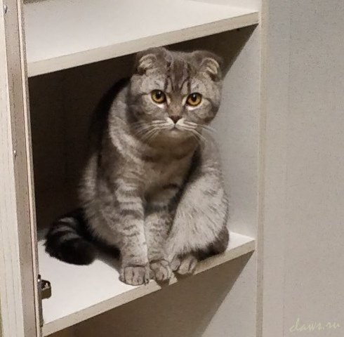 Фото не найдено