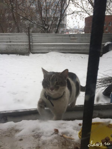 Фото не найдено