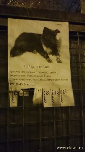 Фото не найдено