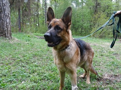 Фото не найдено