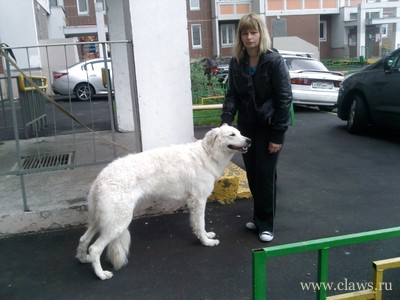 Фото не найдено