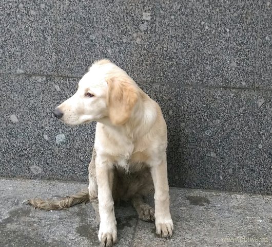 Фото не найдено