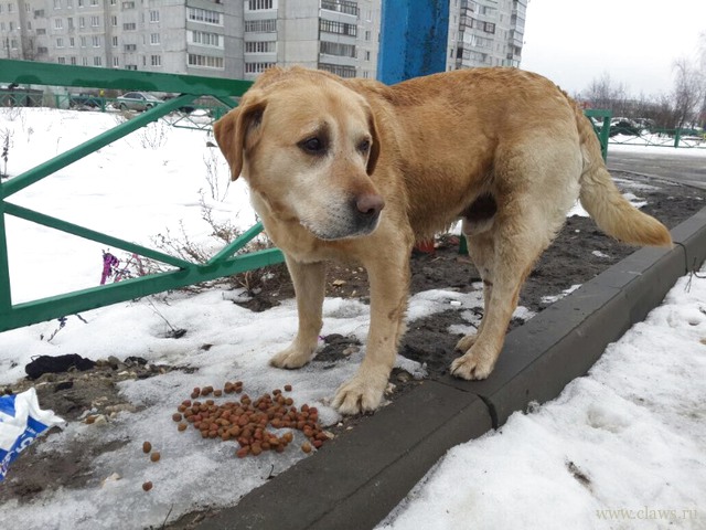 Фото не найдено