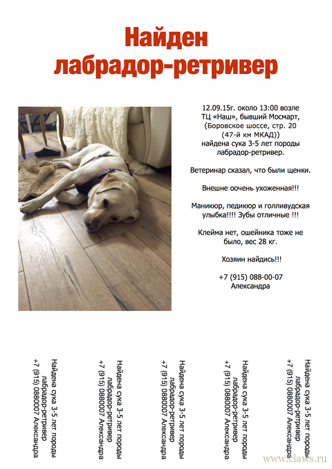 Фото не найдено